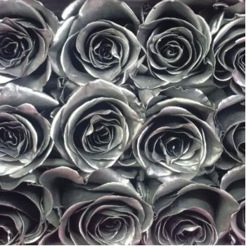 SILVER-ROSE / 薔薇  デモテープ ROSTINSIL-350x350.JPG